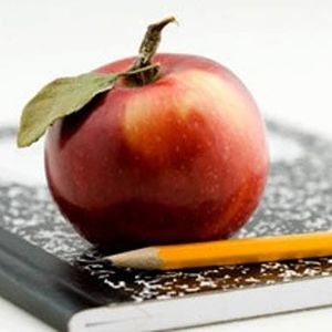 Meet your Posher, Rose